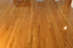 photo10