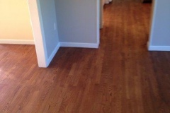 photo15