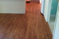 photo17
