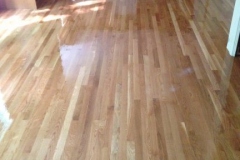 photo7