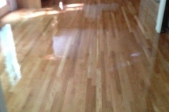 photo8