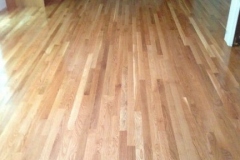 photo9