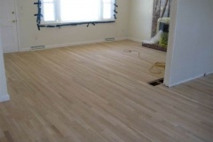 picture_153